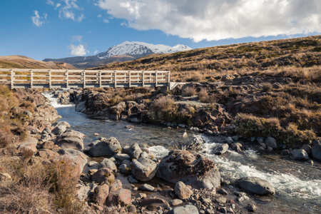 wooden bridge across Mahuia River with Mount Ruapehu in distance, Tongariro National Park, New...