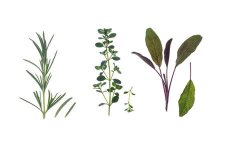 fresh rosemary, thyme and sage leaves isolated on white backgroundの写真素材