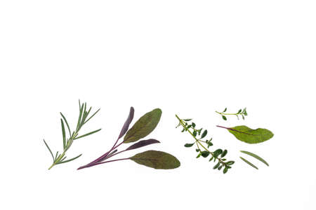 fresh rosemary, sage and garden thyme leaves isolated on white background with copy space aboveの写真素材