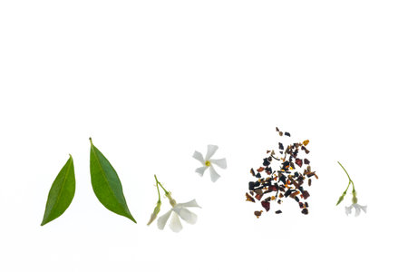 loose green tea with jasmine flowers and tea leaves isolated on white backgroundの写真素材