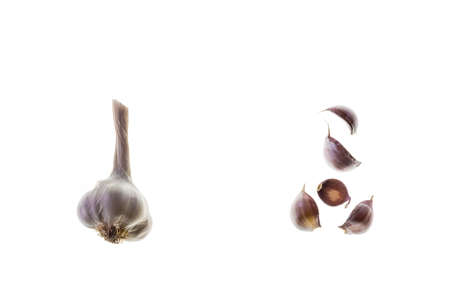closeup of dried garlic bulb with separated garlic cloves on white background copy space in middleの写真素材