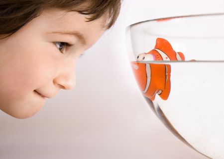 Three years old boy watch to the eyes of fishの写真素材