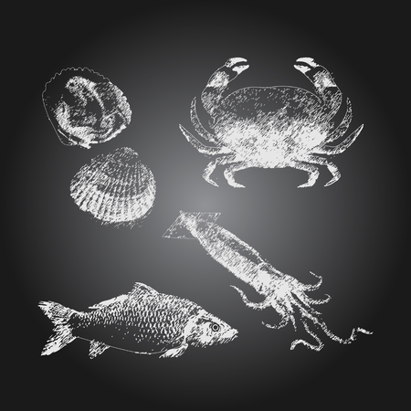 Black chalkboard with hand drawn seafood icons setのイラスト素材