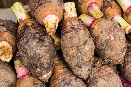 taro root pile in the marketの写真素材