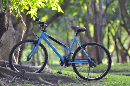 Bicycle parking in the park の写真素材