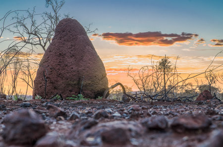there was a mound in Australia huge  Photography