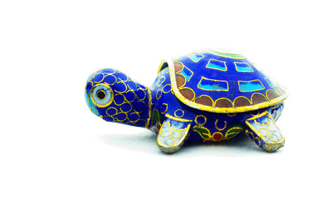 Ornate Taiwanese Turtle の写真素材