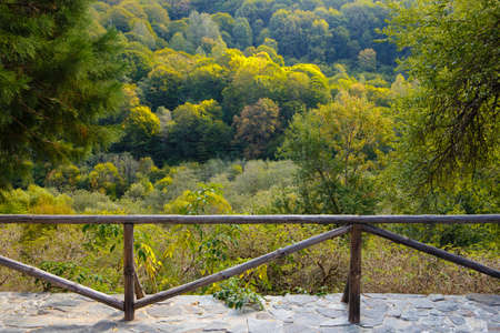 Wooden fence against turning yellow treesの写真素材