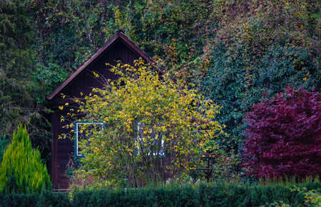 Vibrant colors of fall in the Austrian Alpsの写真素材