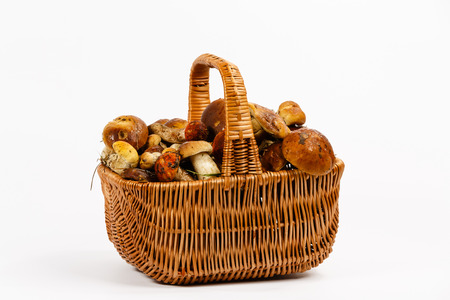 Basket full of mushrooms on a white backgroundの写真素材