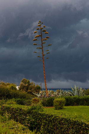 Thunderclouds in the sky over hotel by the sea in Greeceの写真素材