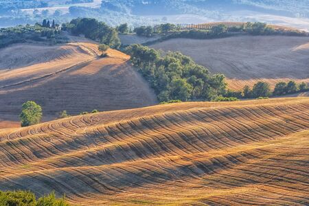 Tuscan hills and fields lit with a rising sunの写真素材
