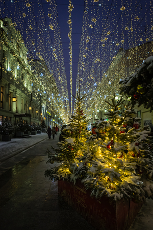 Illuminated and decorated Christmas tree on city streetsの写真素材