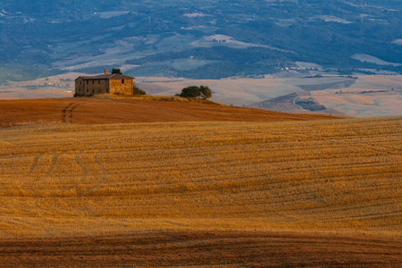 Bends and curves of fields and hills of Tuscany, Italy