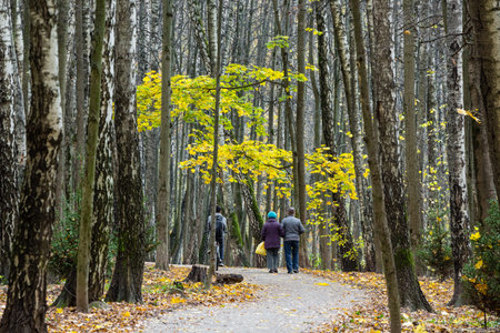 Path in the deciduous forest on a bright autumn day