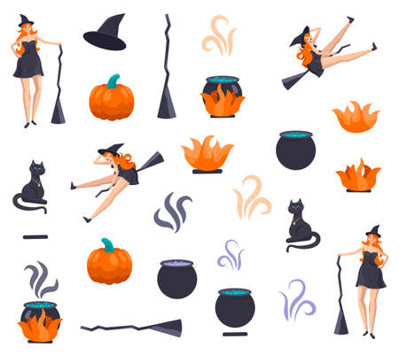 Halloween icons in flat style. There are witch, hat, cat, boiler, fire, bonfire, pumpkin, broom.のイラスト素材