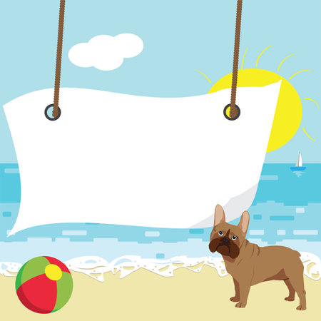 Paper hanging on a beach with a ball and a French Bulldog; Summer design with space for announcements; flat designのイラスト素材