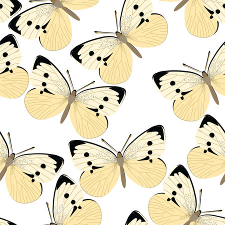 Pieris rapae design seamless pattern; white butterflies seamless patternのイラスト素材