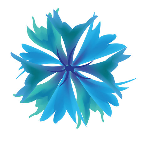 Beautiful cornflower isolated vectorのイラスト素材
