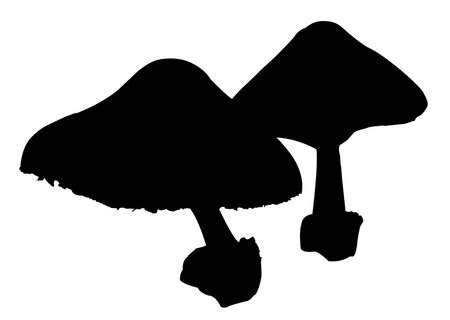 mushroom silhouette illustration; two mushroom growing togetherのイラスト素材