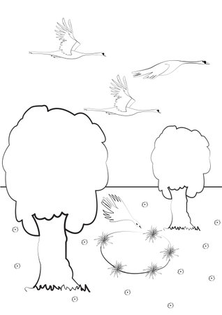 Coloring page with swans trees and a pond; birds over forest coloring pageのイラスト素材
