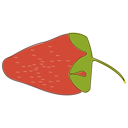 strawberry outlined isolated on white background; icon with fruitのイラスト素材