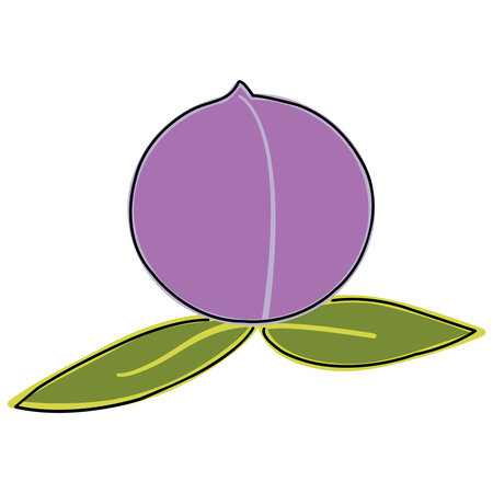 plum with two leaves isolated on white background; outline doodle のイラスト素材