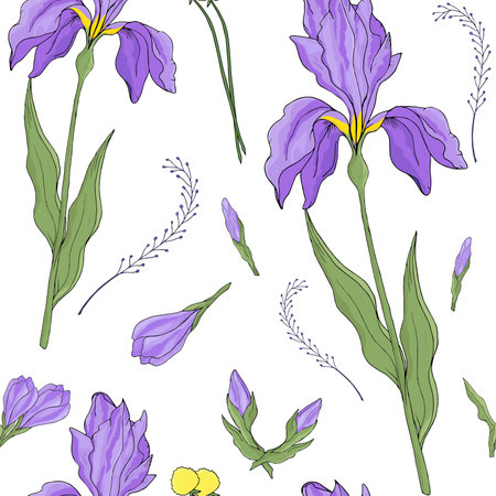 Iris flower seamless pattern on white backgroundのイラスト素材
