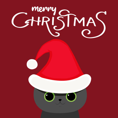 Funny cat in christmas hat on red background. Merry Christmas. handwriting. lettering. hand drawn kittyのイラスト素材