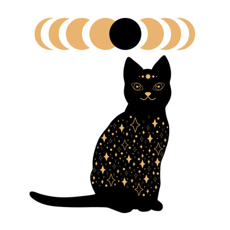 Black magical cat with star pattern and eclipse stages. Astrology and mystery. Vector illustration isolated on white backgroundのイラスト素材