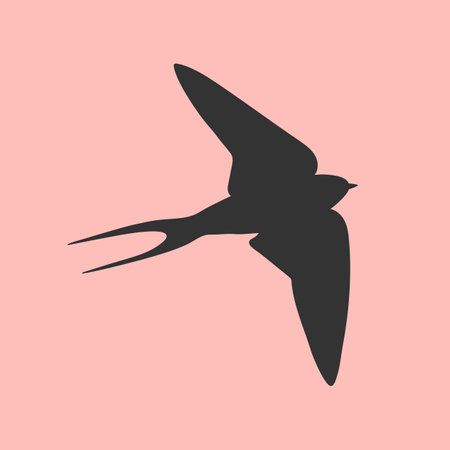 Flying Martin bird silhouette on pink background. vector illustrationのイラスト素材