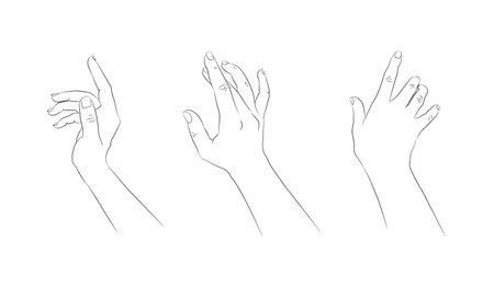 Hand drawn hands isolated on white background. Hand drawn female hands linear sketch. Black silhouette on white background. vector illustrationのイラスト素材