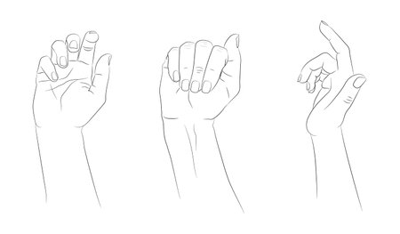 Hand drawn hands set. Hand drawn female hands empty outline isolated on white background. vector illustrationのイラスト素材