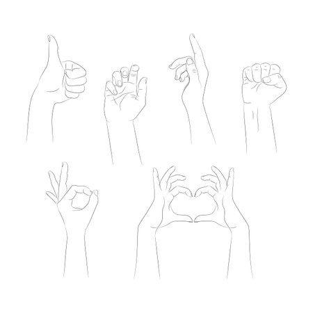 Set of hand drawn human hands with different gestures. Hand outline with an empty outline isolated on white background. vector illustrationのイラスト素材