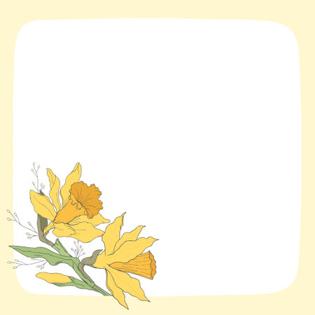 Daffodil floral template. Narcissus. Square frame with hand drawn flowers. For cards, invitations, save the date cardsのイラスト素材