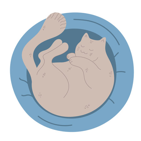 Cute hand drawn cat is sleeping in a cat bed. The cat is curled up in a pet cushion. Kitty asleep lying on a soft pillow. Vector illustrationのイラスト素材