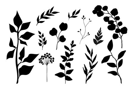 Collection of plant silhouettes. Branches, leaves and botanical elements. Vector illustrationのイラスト素材
