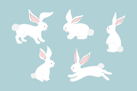Set of cute white rabbits in different poses. Hand drawn cartoon bunny. Vector illustrationのイラスト素材