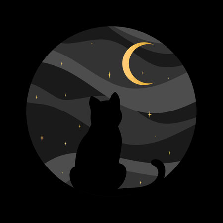 Black cat silhouette on night sky background. Cat watching on a crescent. Vector illustrationのイラスト素材