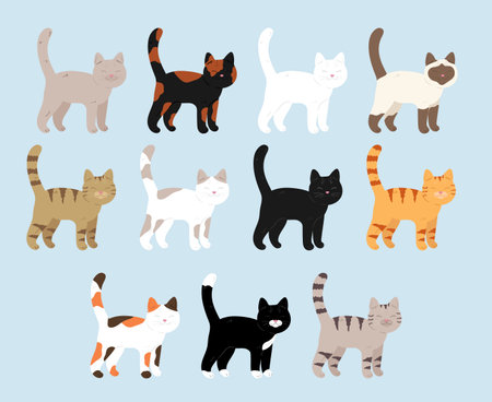 Collection of hand drawn cats with different colors. Cats with different color patterns of fur. Vector illustrationのイラスト素材
