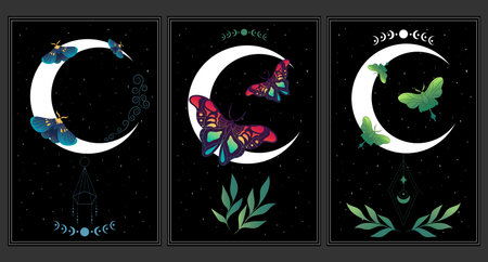 Set of celestial background with butterflies, stars and crescent moon. Space art posters with butterflies. Vector illustrationのイラスト素材
