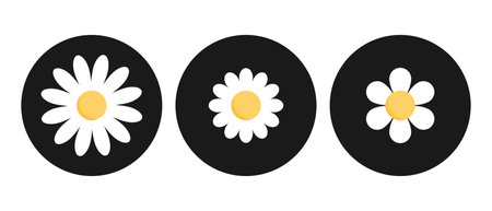 Cute chamomile flowers. Cute chamomile flower icons in black circles. Chamomile or daisy with white petals. Plant flower head sign symbol. Vector illustrationのイラスト素材