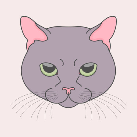 Gray cat head. Feline face. Cat with green eyes. Vector illustrationのイラスト素材