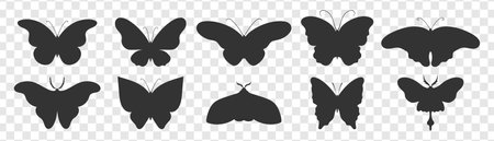 Collection of butterfly silhouettes. Butterfly, moth, monarch silhouettes. Vector illustrationのイラスト素材