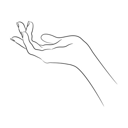 Linear sketch of a human hand in elegant gesture. Hand drawn beautiful female hand. Vector illustrationのイラスト素材