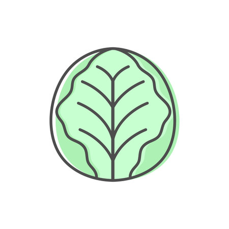 Cabbage line icon isolated on white background. Simple vegetable icon symbol. Vector illustrationのイラスト素材
