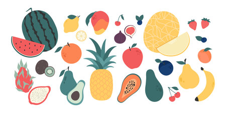 Minimalist fruits and berries in flat style. Various hand drawn garden and tropical fruits and berries. Vector illustrationのイラスト素材