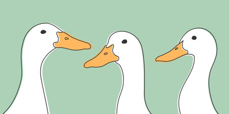 Three hand drawn doodle ducks with suspicious looks. Curious duck faces. Vector illustrationのイラスト素材