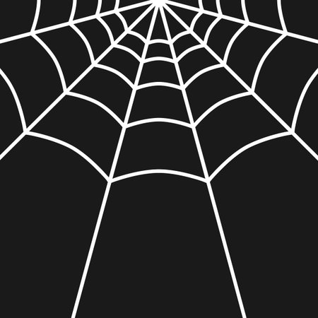 White spider web decoration on black background. Vector illustrationのイラスト素材