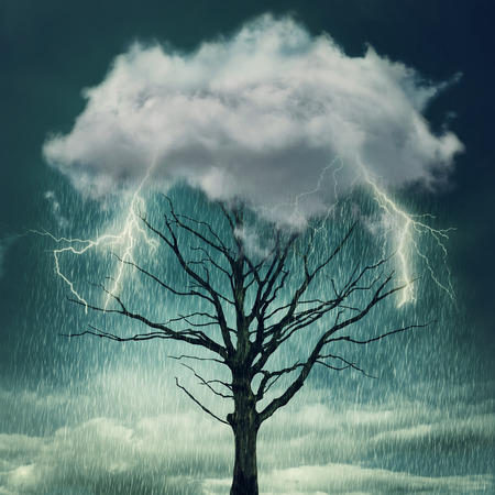 Nature force background. Tree below a cloud struck by lightning from dark skyの写真素材